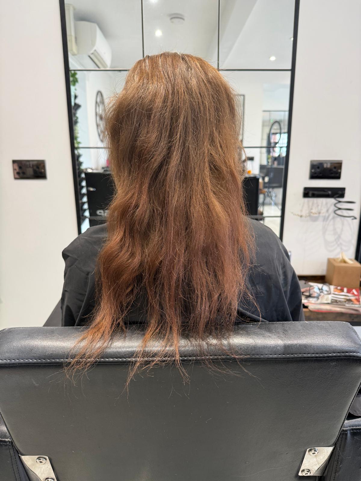 Before photo of warm copper brown hair before a Rebecca Jane Hair appointment